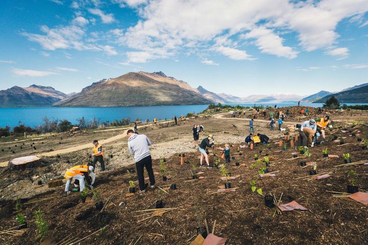 A group of people planting seedlings on bare land, with a lake and hills in the background