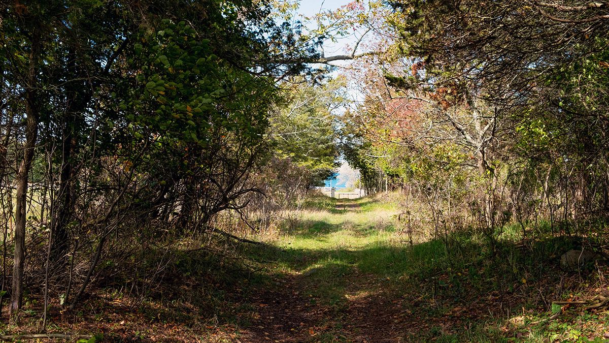 A walking trail at Topsy Farms