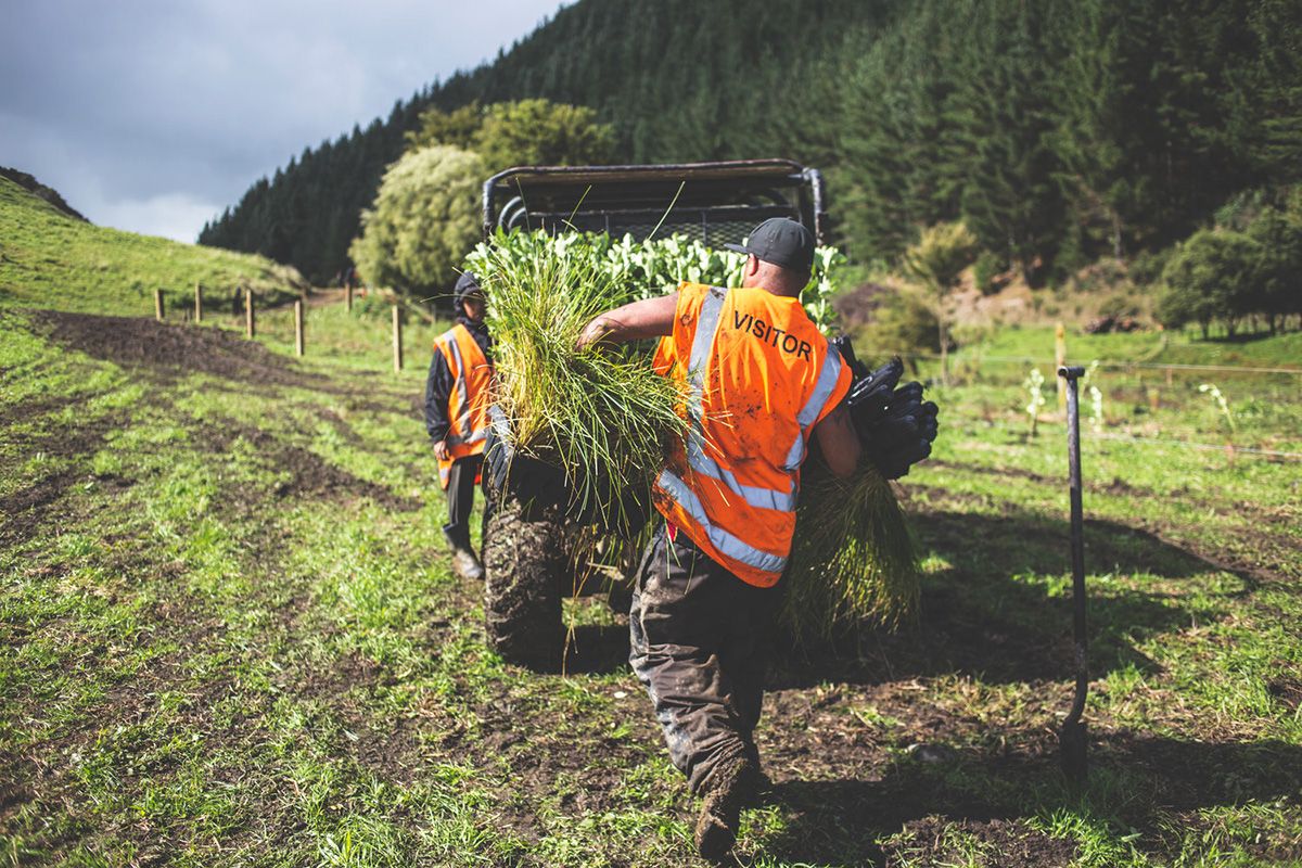 Two people standing at a vehicle on a field outdoors, with a forest in the background. One person is unloading plants.