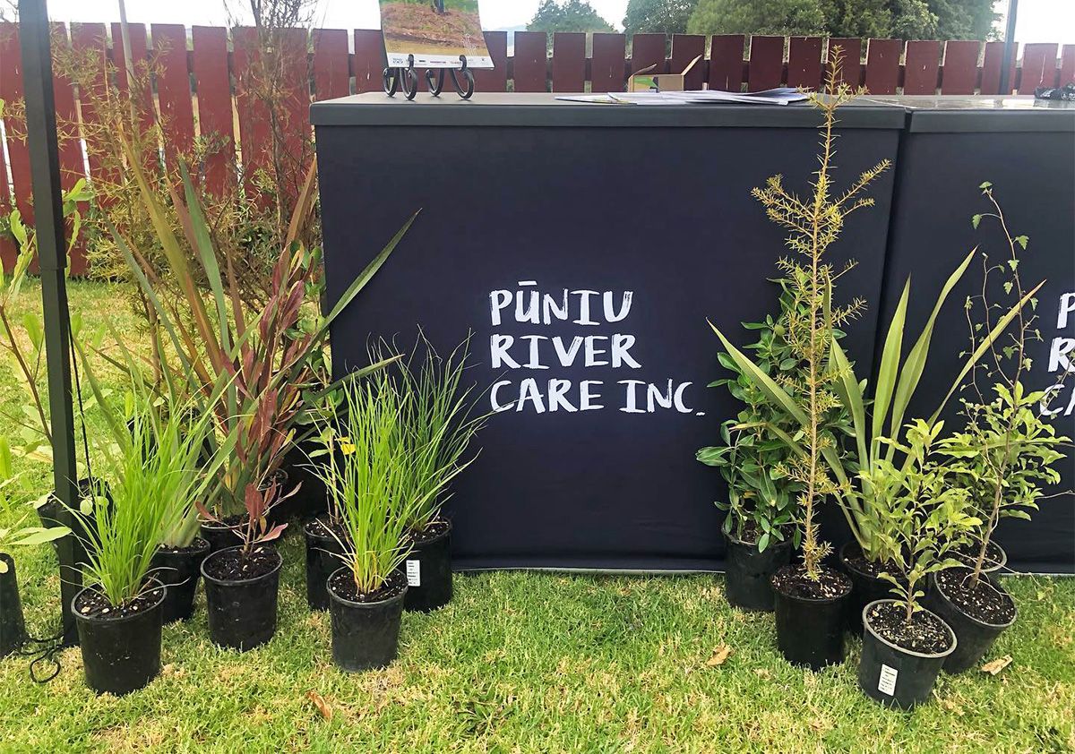 Various tree seedlings in pots on display in front of an outdoor information booth labelled "Pūniu River Care".