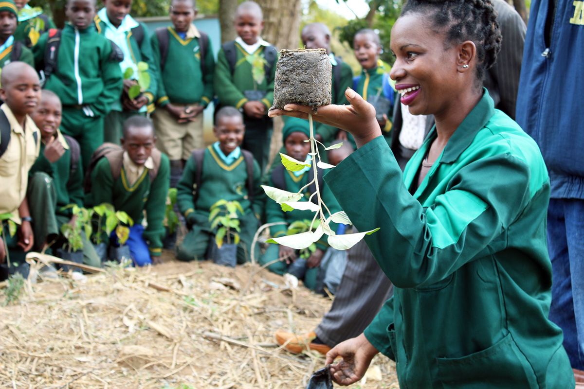 A woman holds up an upside-down seedling as a demonstration to a group of schoolchildren.