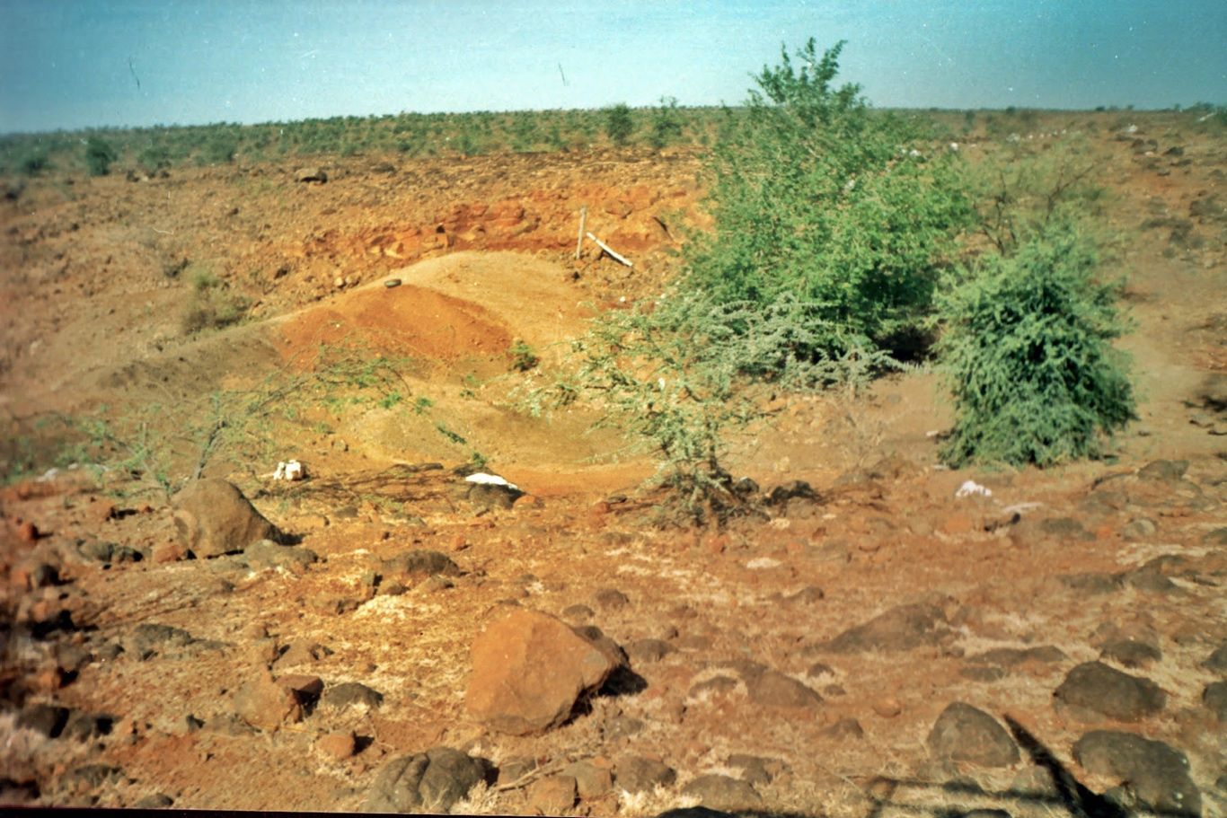 A rocky, red earth barren landscape with a few green trees in Lamkani, India.