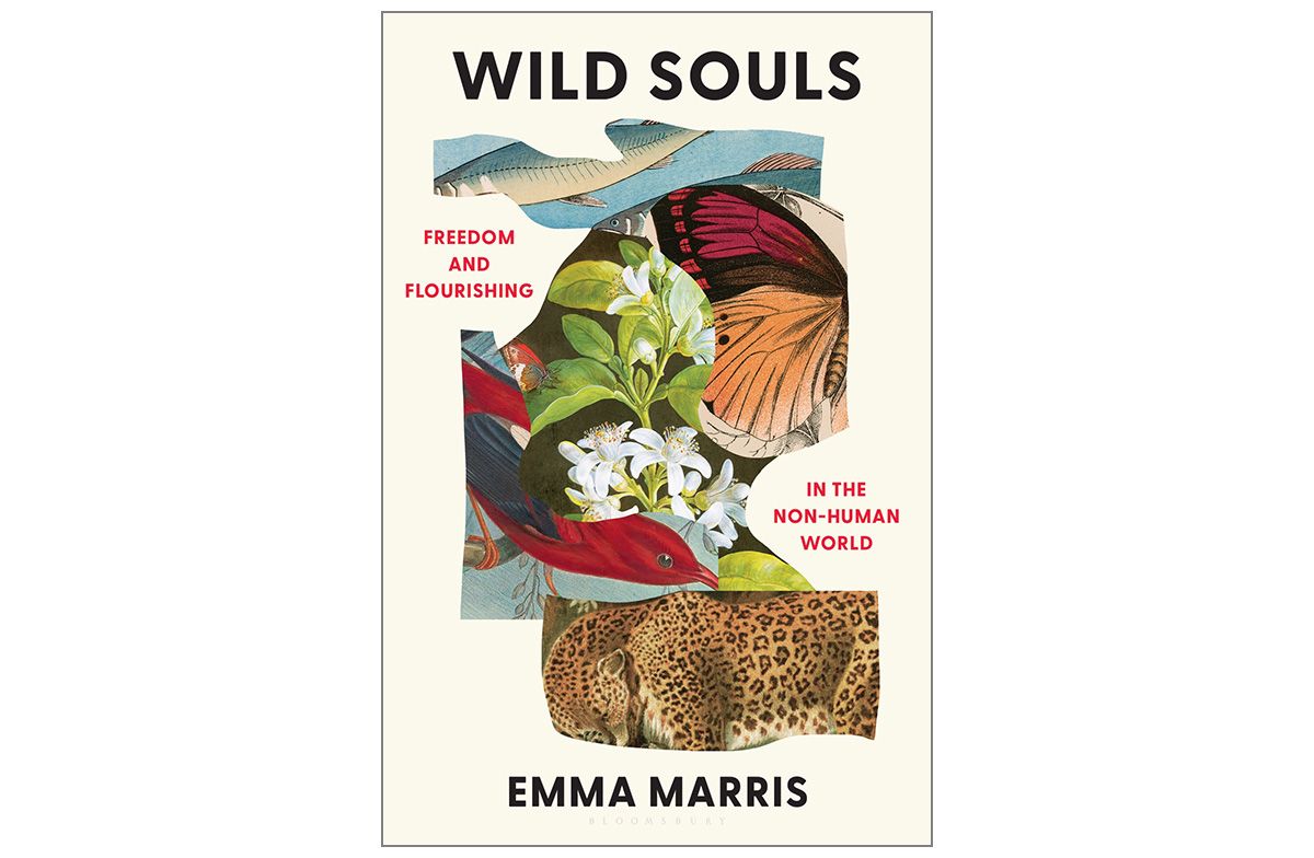 Image of the cover of the book Wild Souls: Freedom and Flourishing in the Non-Human World by Emma Marris