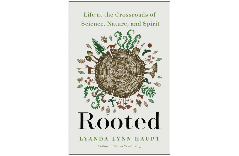 Image of the cover of the book Rooted by Lyanda Lynn Haupt