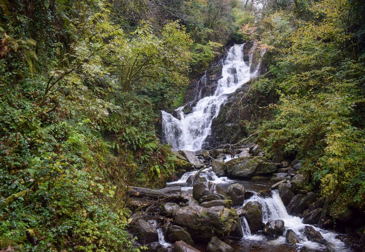 A waterfall flows into a rocky creek surrounded by lush green plants in Ireland.