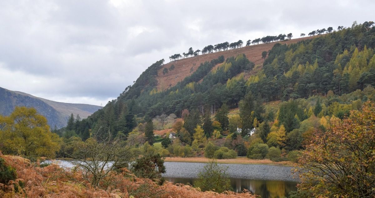 an Irish landscape