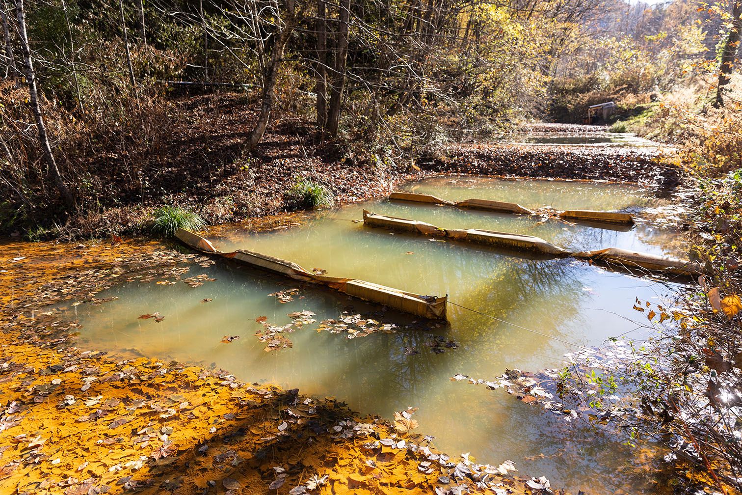 A stream running through limestone contact treatment, with trees and leaves visible.