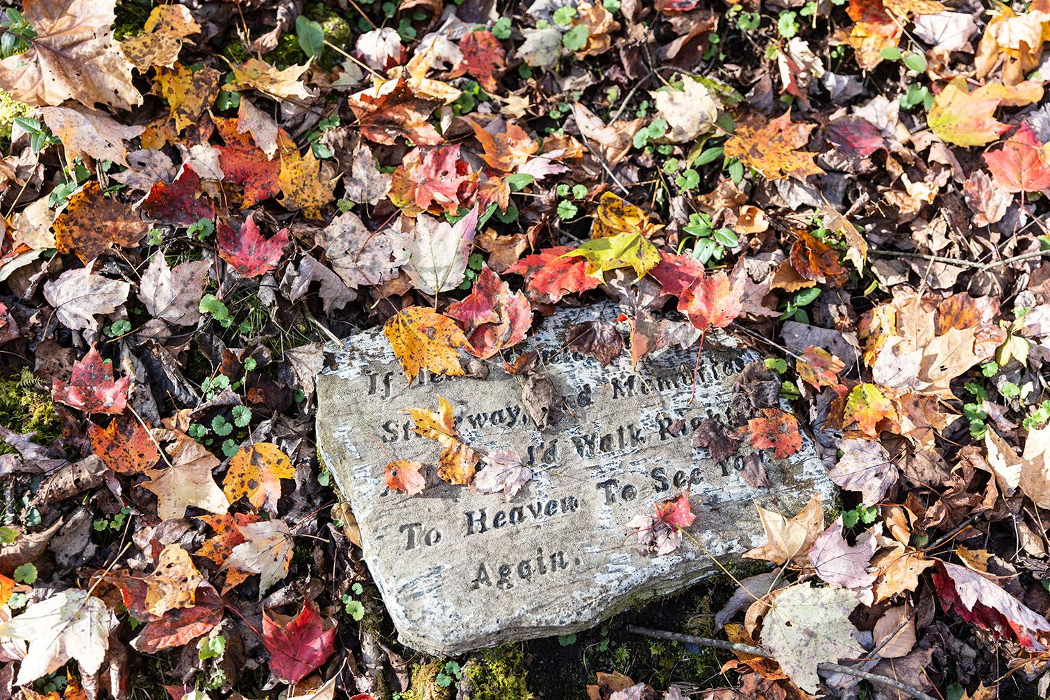 A gravestone engraved with text, on the ground, surrounded by fallen leaves.