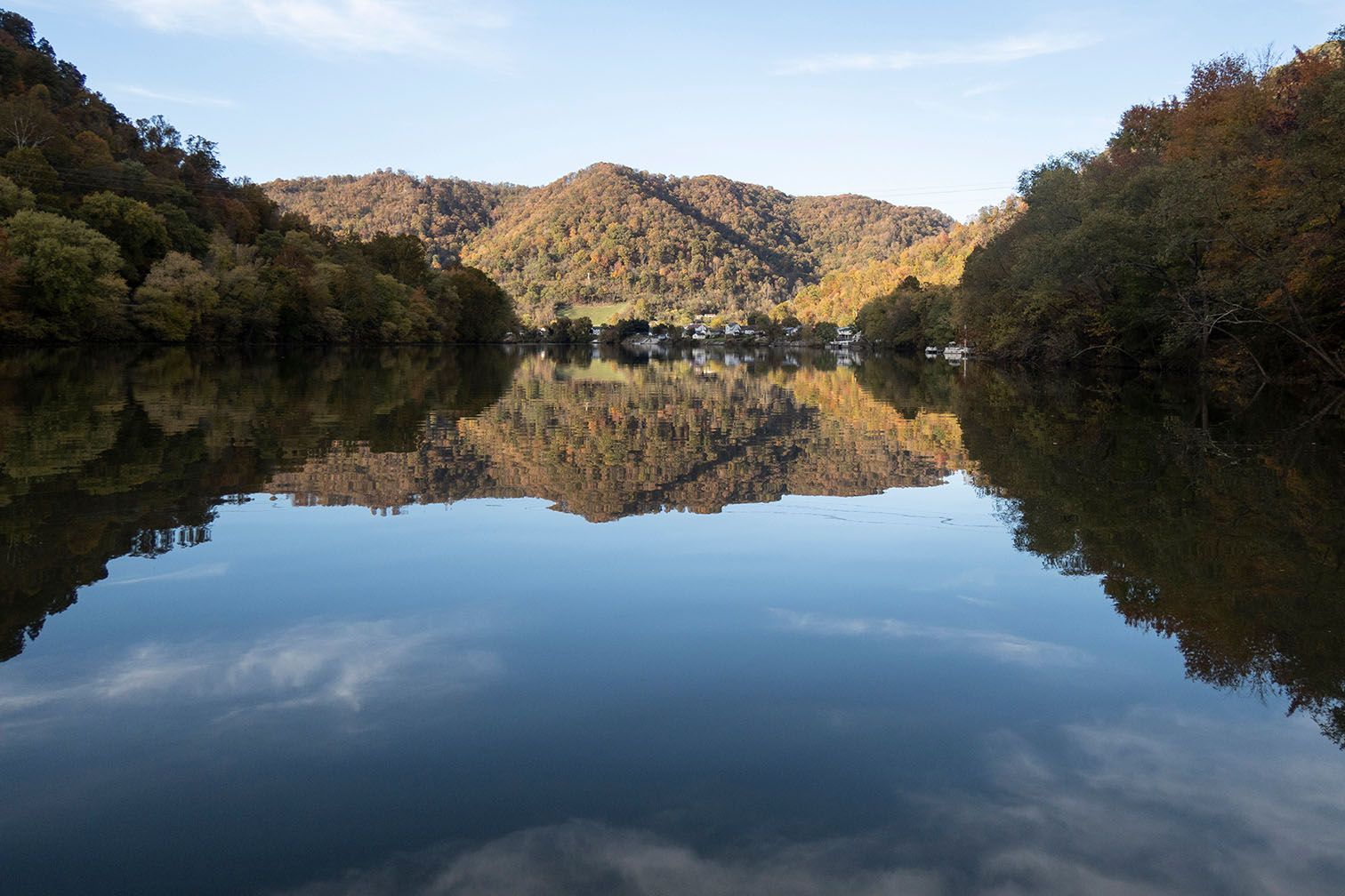 How to Restore a Polluted Creek | Rewilding Magazine