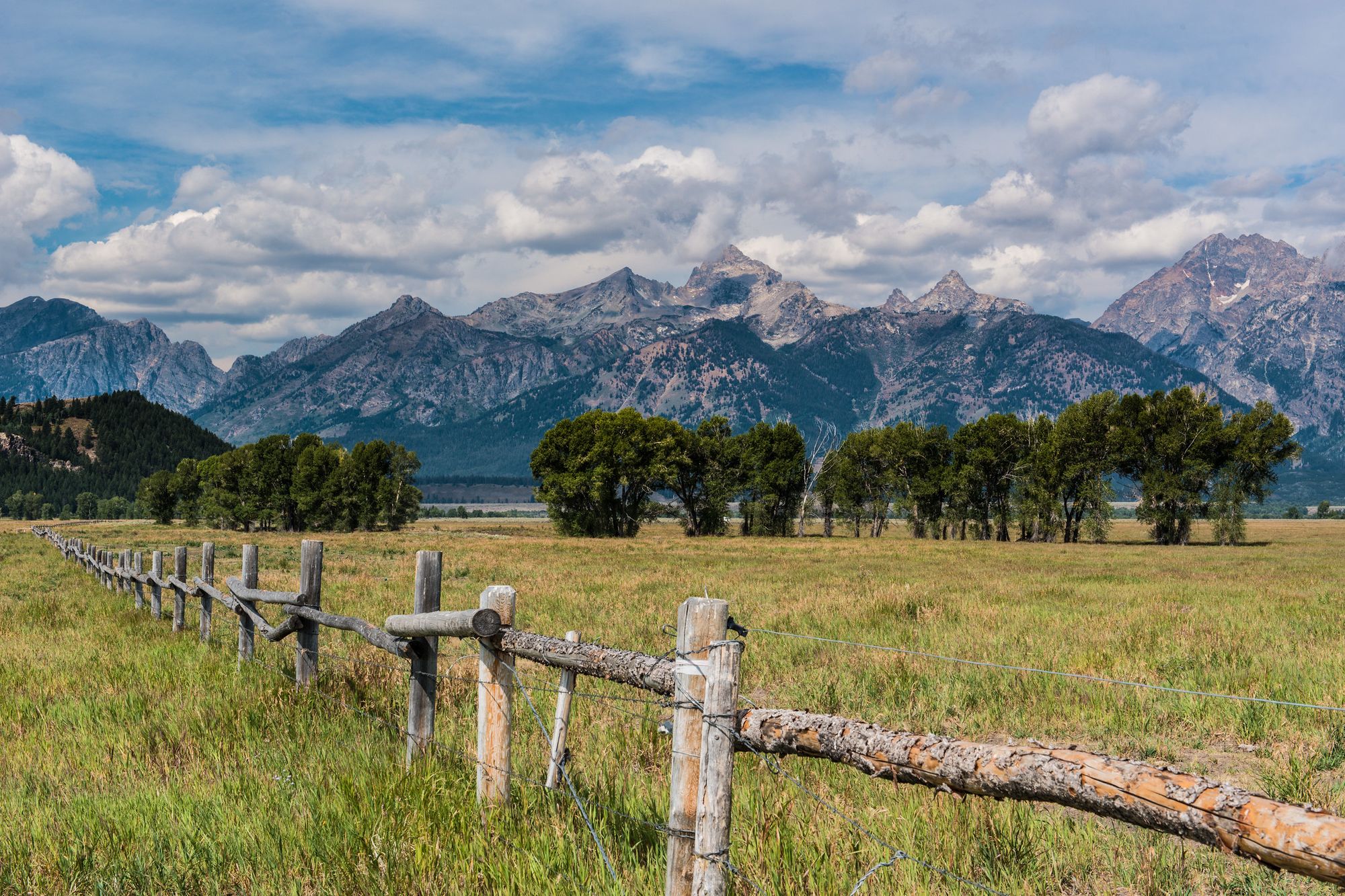 Foreground: a wood and wire fence in a grassy area. Background: a row of trees and some rocky mountains.