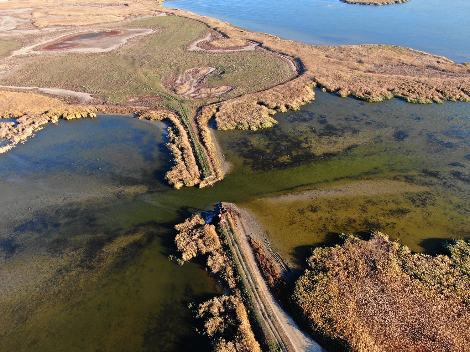 An aerial view of a dam being removed from a river wetland