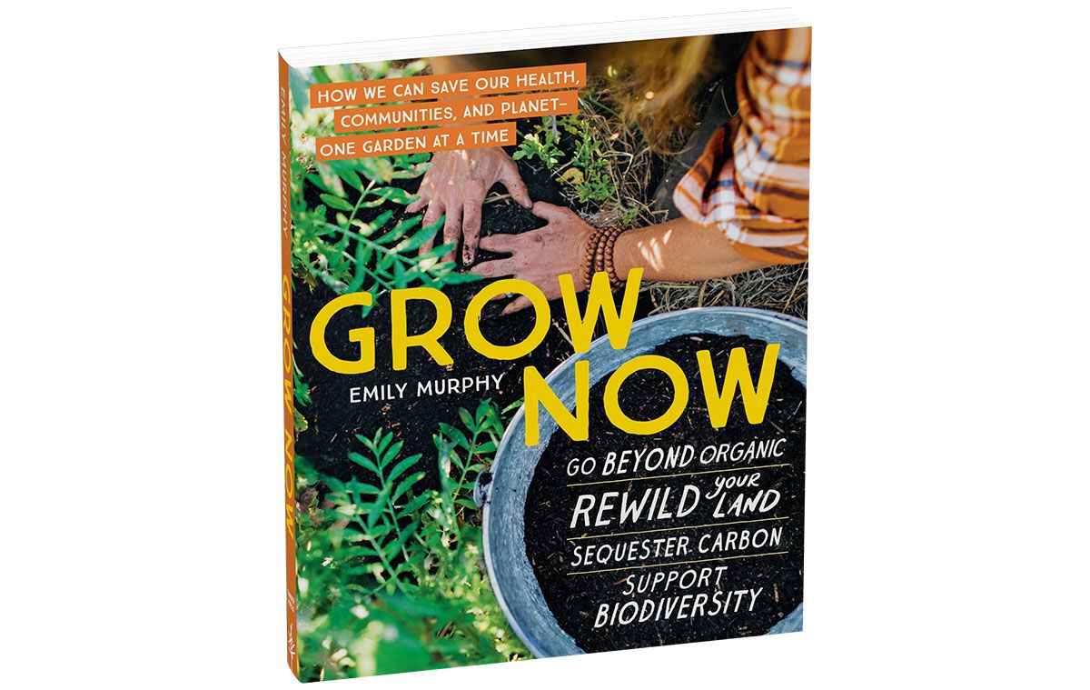 Cover image of the book Grow Now by Emily Murphy