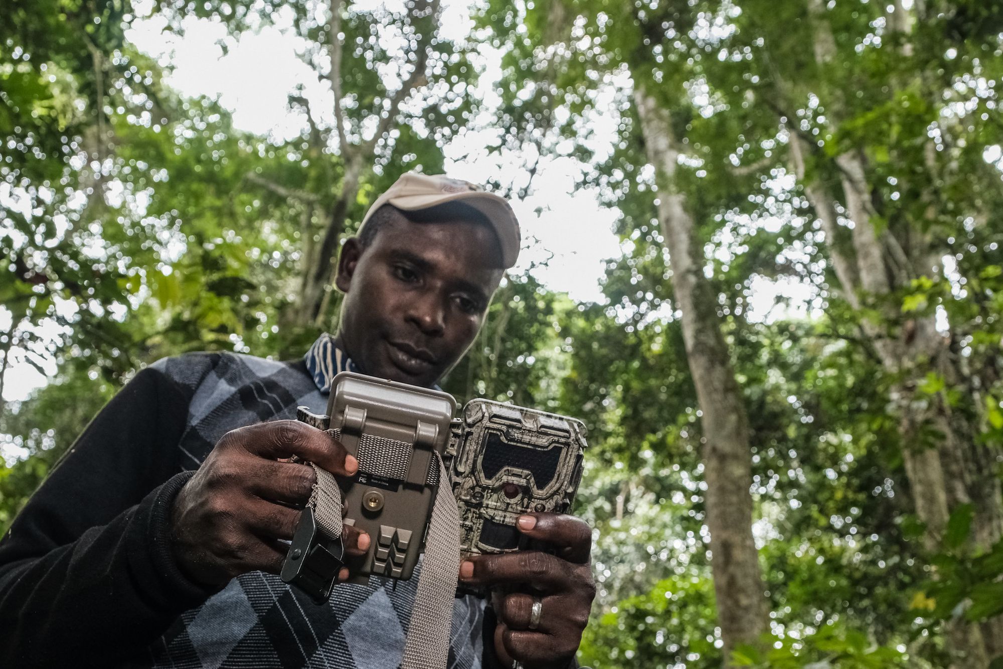 A man stands in a forest holding an open camera trap