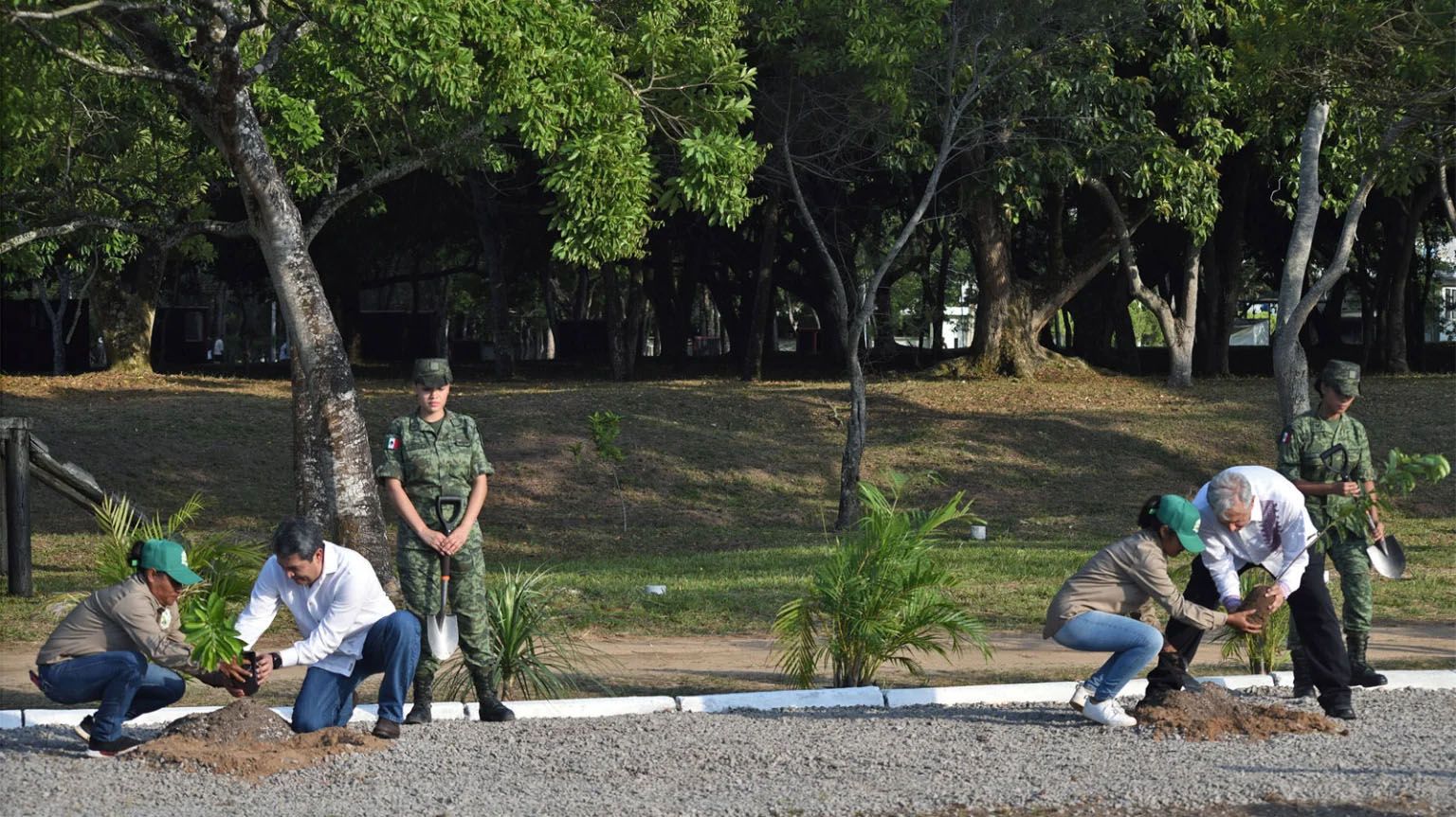 People planting trees in front of a park