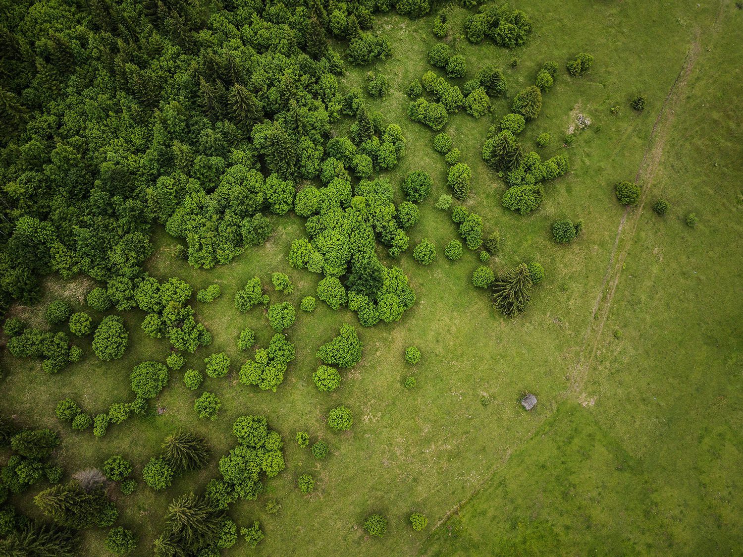 An overhead view of forest and fields