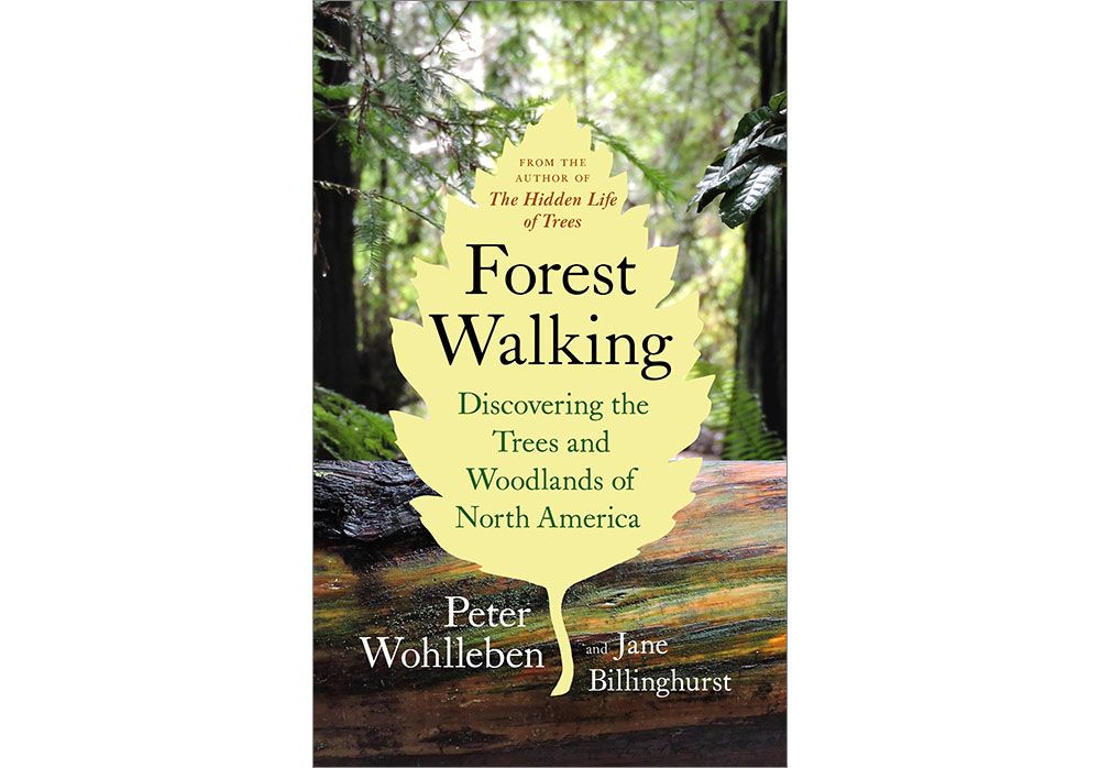 cover of the book Forest Walking by Peter Wohlleben and Jane Billinghurst