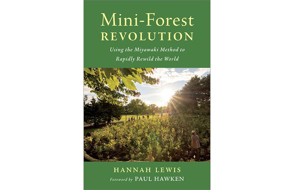 cover of the book Mini-Forest Revolution by Hannah Lewis