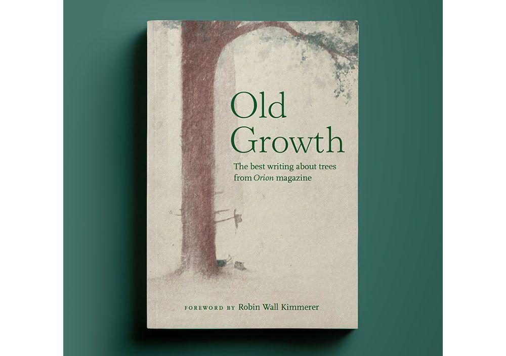 cover of the book Old Growth by Orion Magazine
