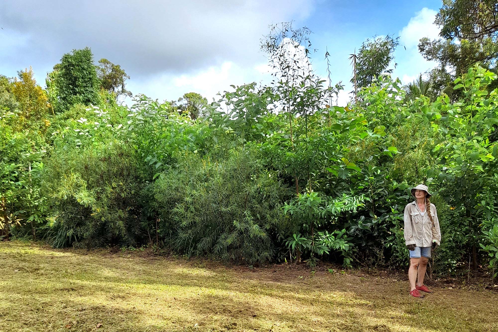 A person standing in front of a forest