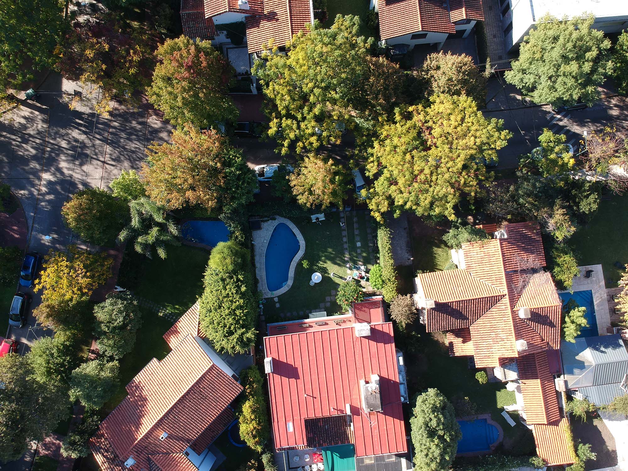 Top-down view of red-roofted houses, trees and a swimming pool
