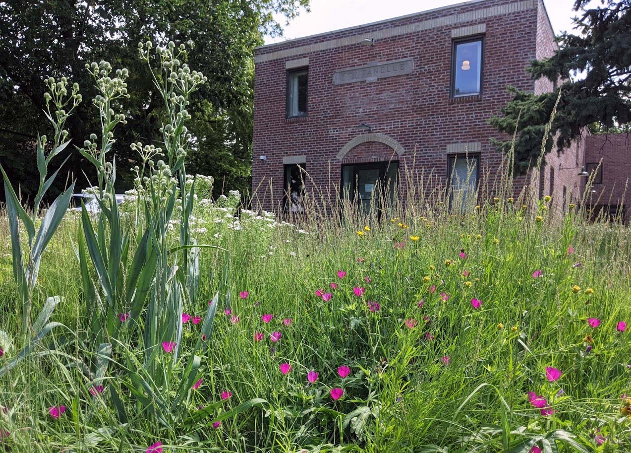 A brick building with a meadow and wildflowers in front