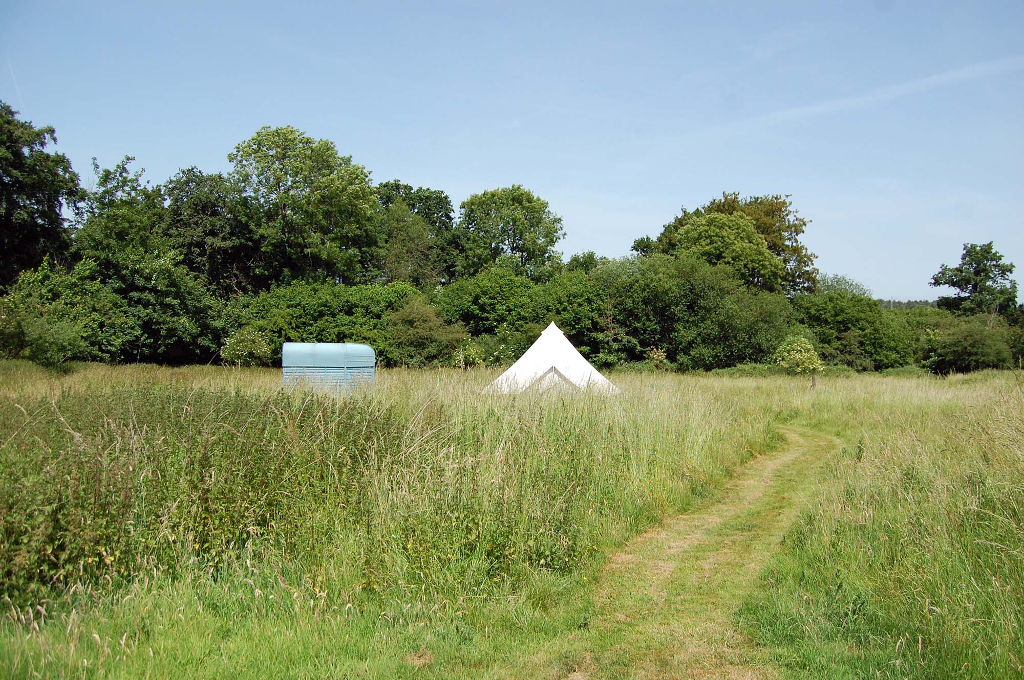 A bell tent in the middle of a dense grassy field, with trees in the background