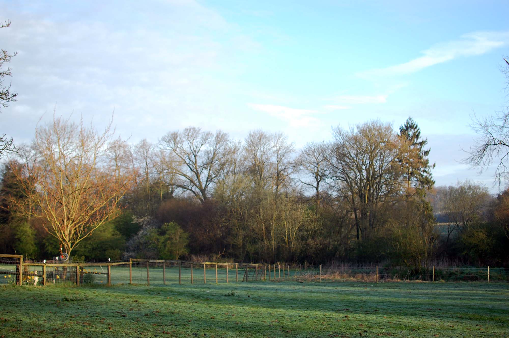 A field with fences and trees on a partly cloudy day in spring