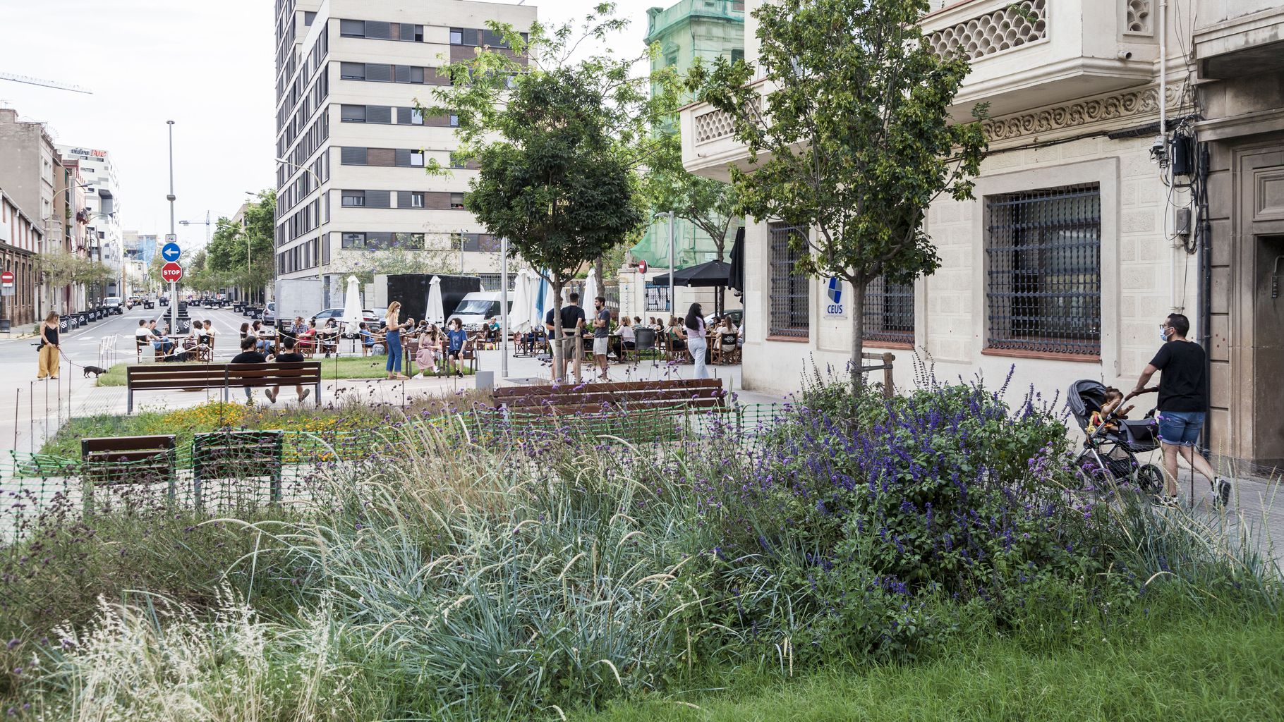 A garden and small trees in a cityscape where people are walking and sitting on benches