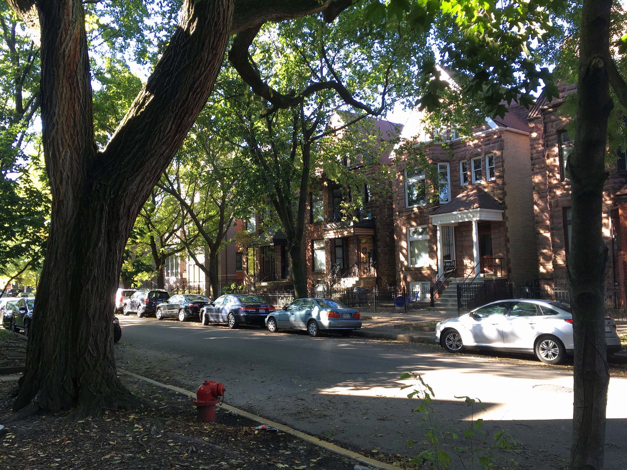 A streetscape of row houses shaded by trees