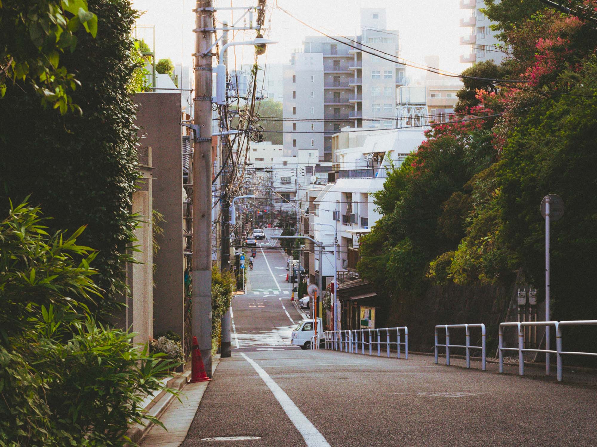 An empty street with trees and greenery on either side, and wires and buildings visible