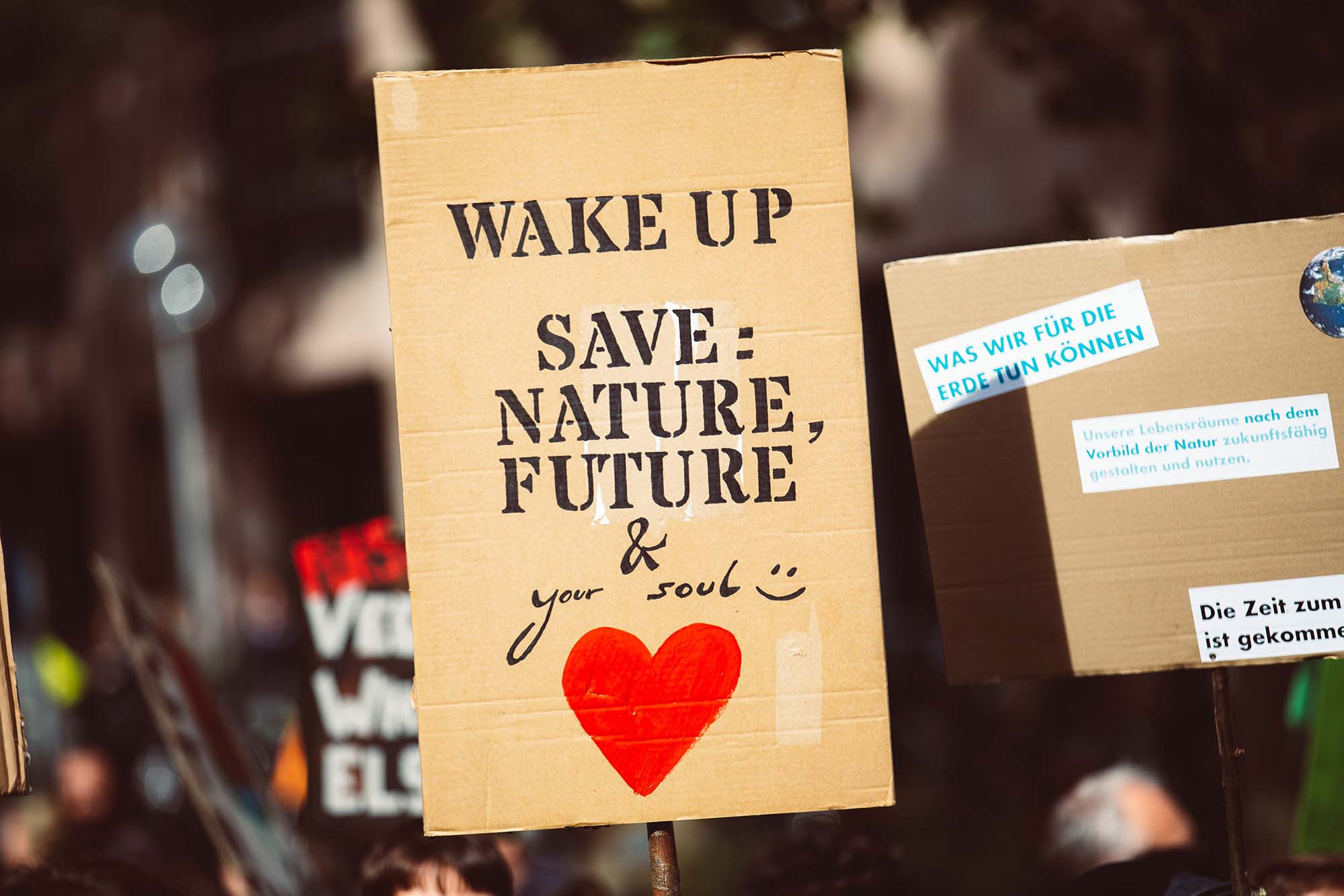 A protester's sign reading "wake up save: nature, future & your soul :)"