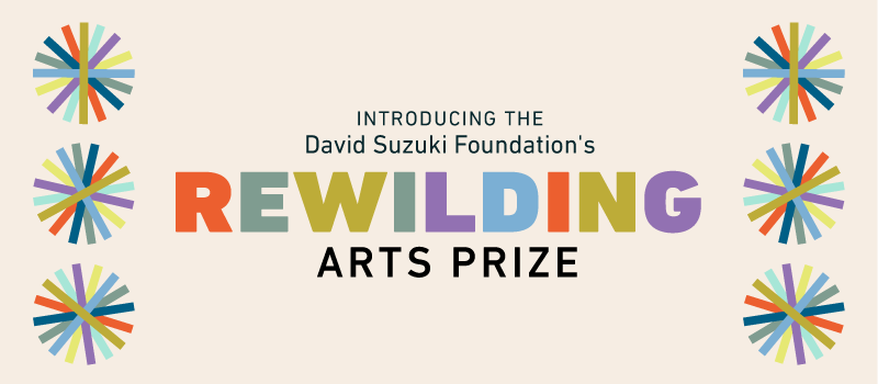 Introducing the David Suzuki Foundation's Rewilding Arts Prize
