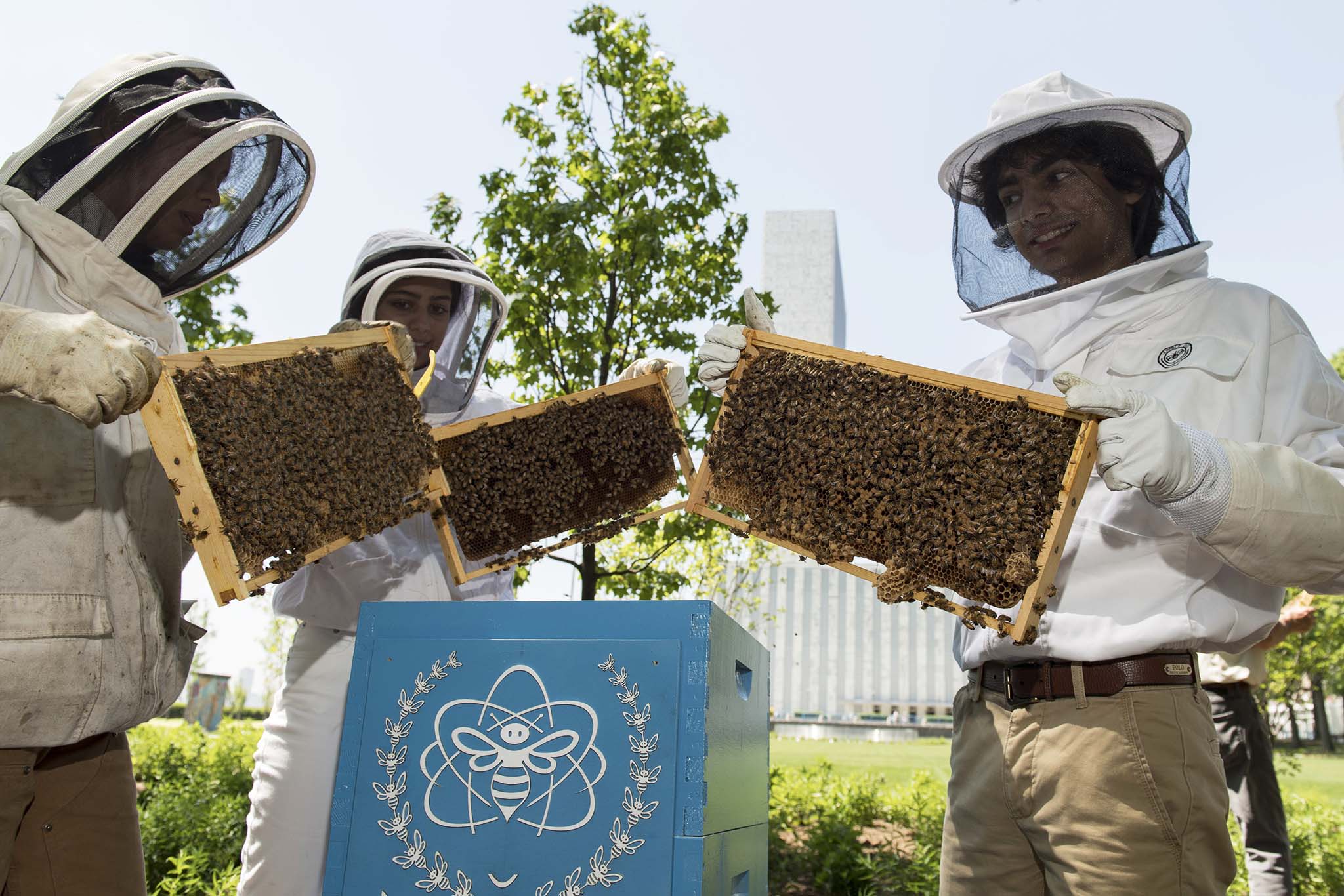 Three people in beekeeping gear holding trays of honeycomb and honeybees