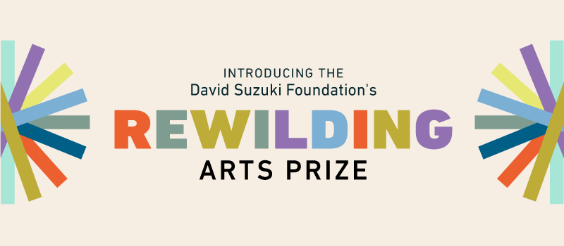 "Introducing the David Suzuki Foundation's Rewilding Arts Prize"