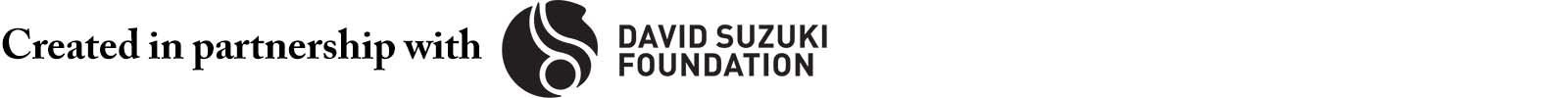 Created in partnership with the David Suzuki Foundation