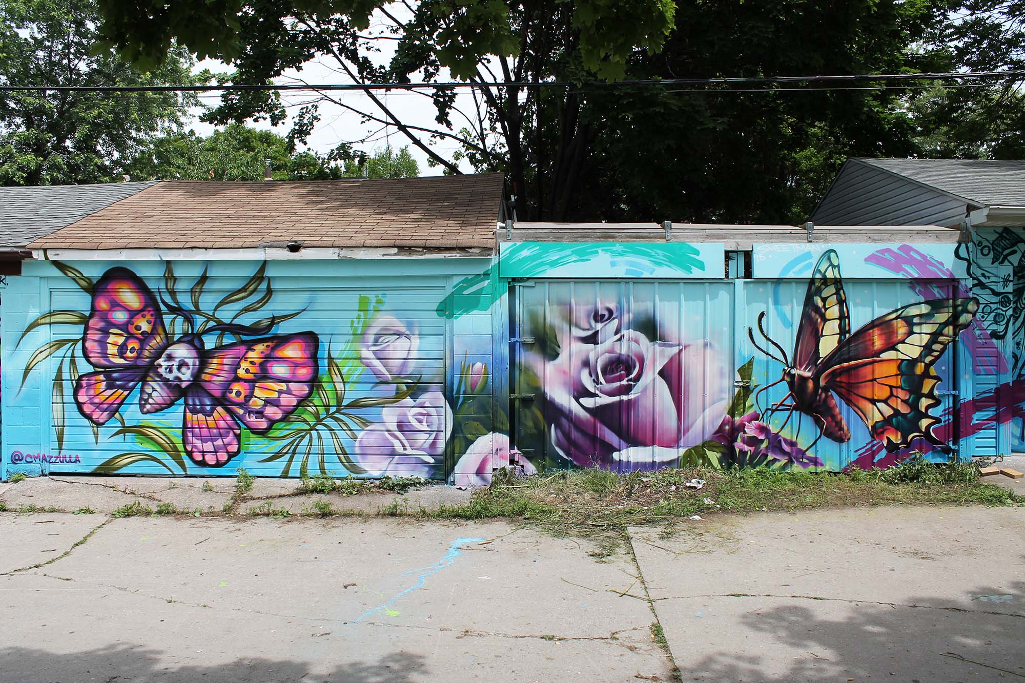 Garages in a Toronto laneway painted in bright blue with butterflies and roses, with trees in the background