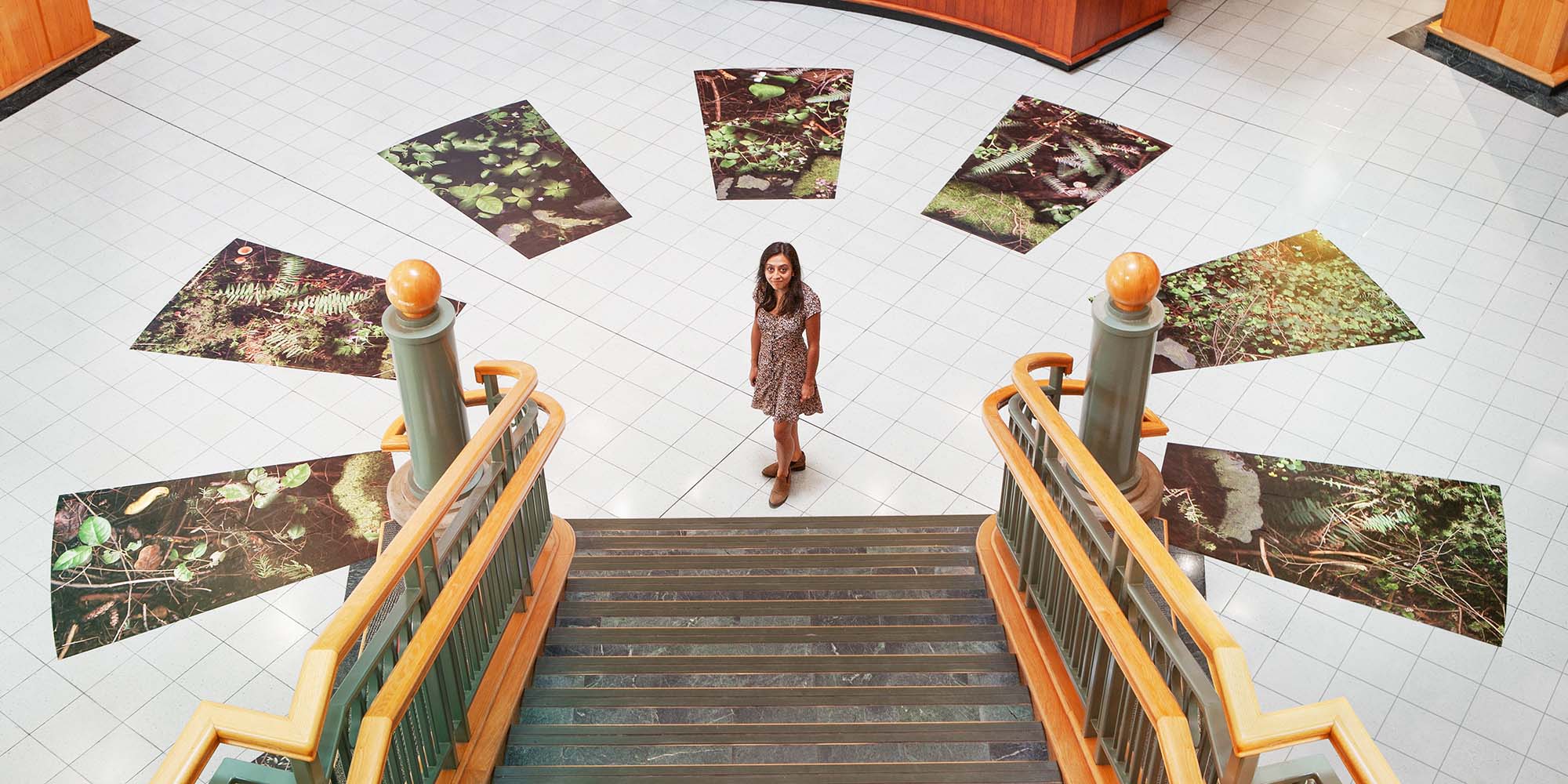 A person standing at the bottom of a staircase, with images of a forest radiating around her on the floor