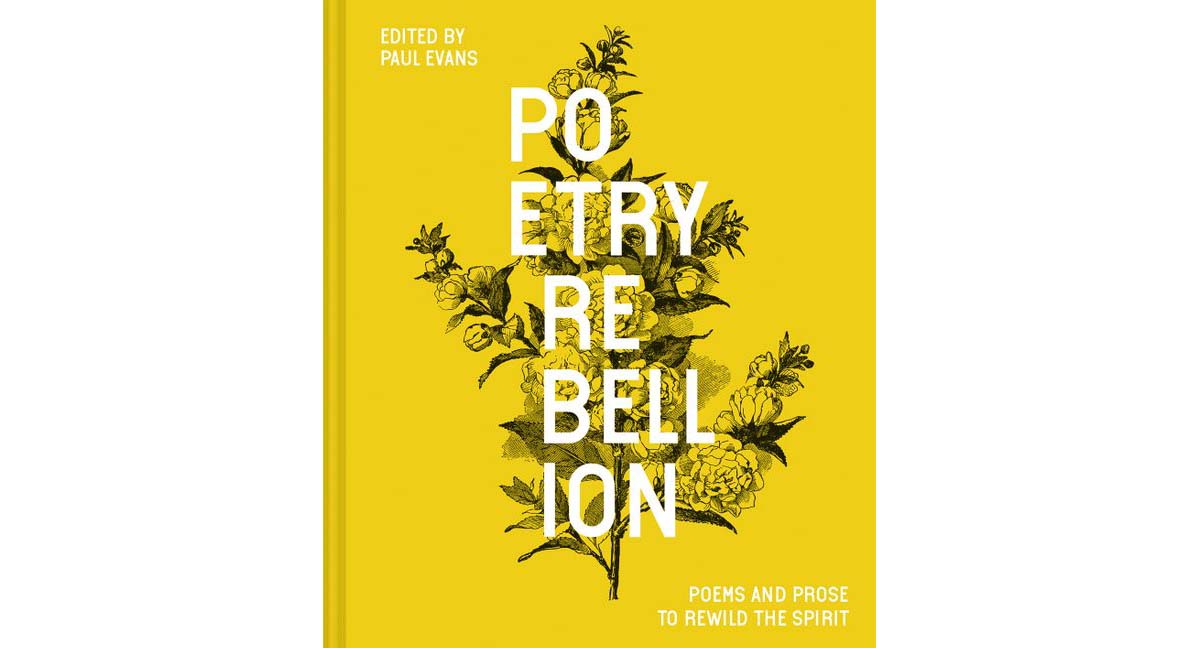 Cover of the book Poetry Rebellion: Poems and Prose to Rewild the Spirit