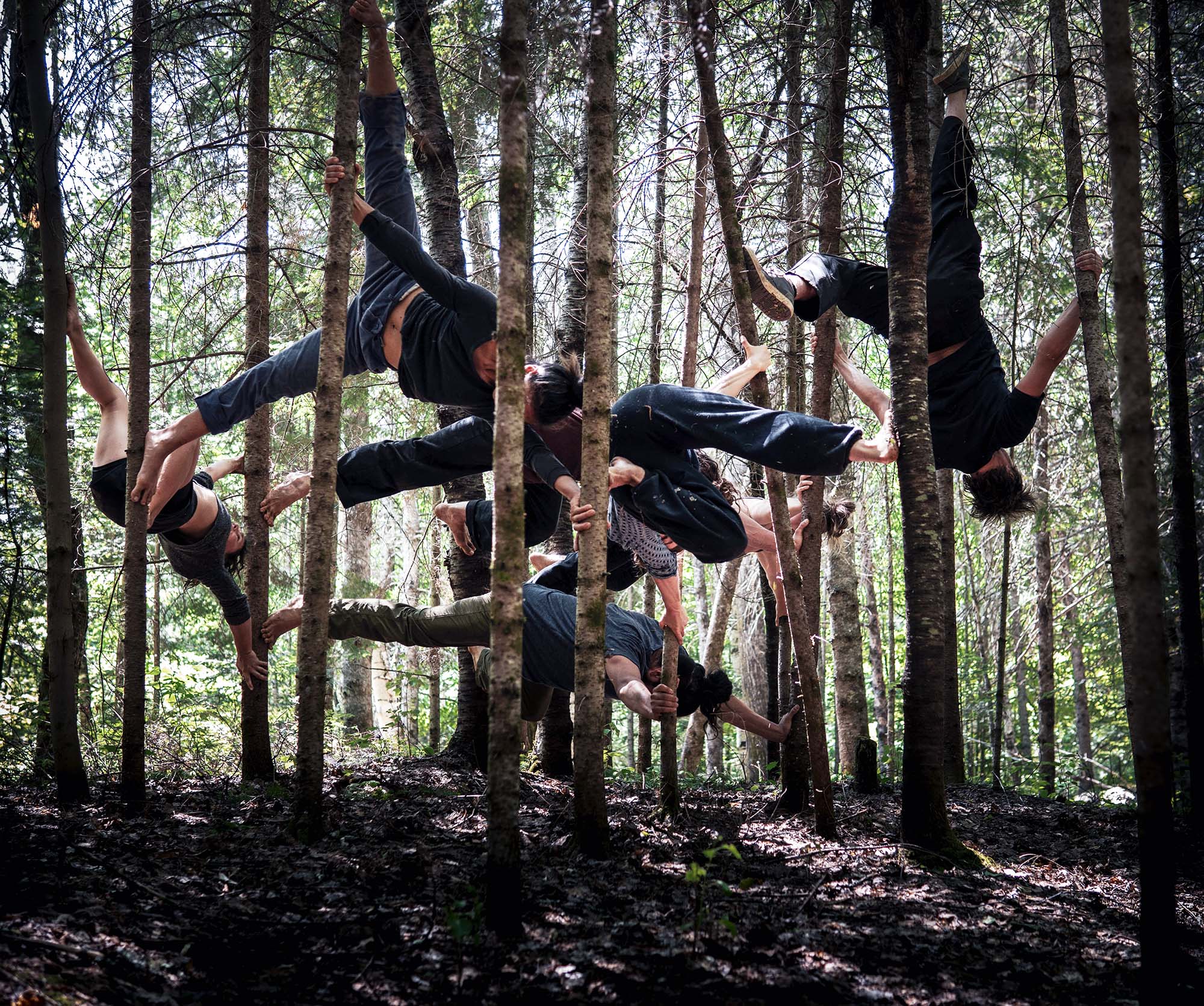 A group of circus performers in acrobatic poses, draped and reaching between trees