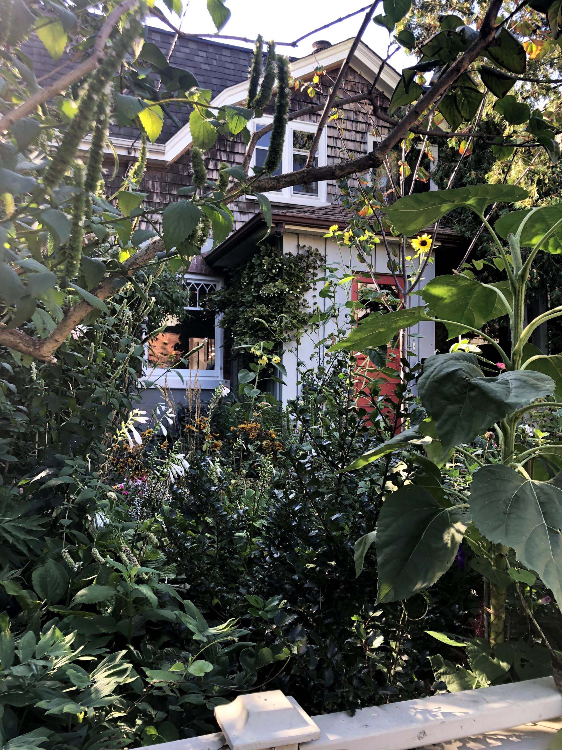 A house with a garden in the front yard containing shrubs, plants and flowers