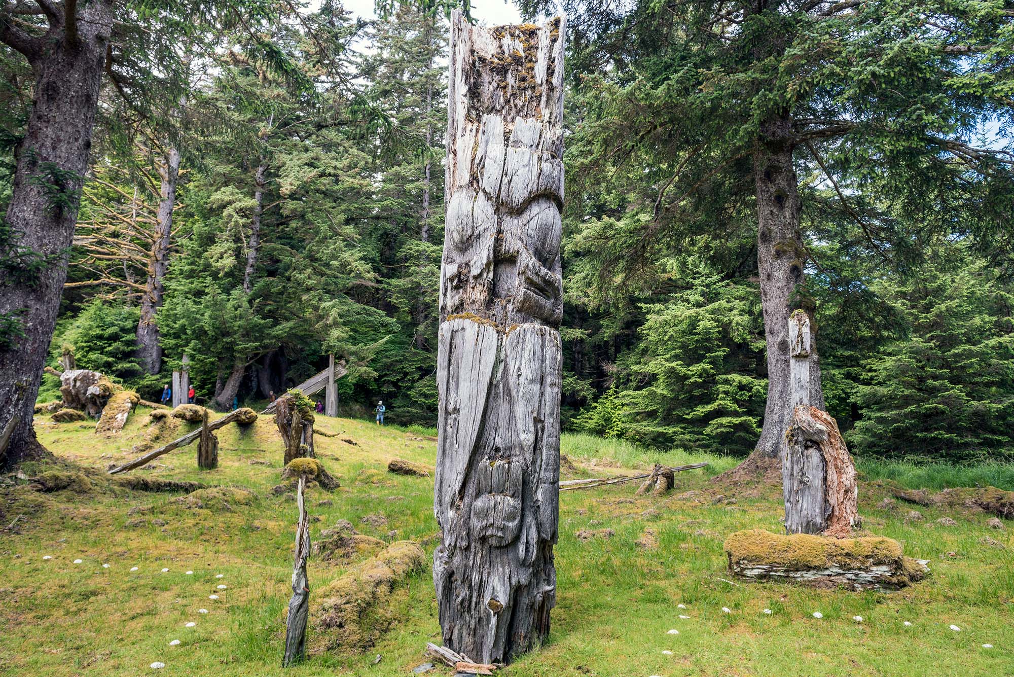 Weather-beaten totem poles standing on grassy ground in a forested area