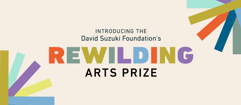 introducing the David Suzuki Foundation's Rewilding Arts Prize