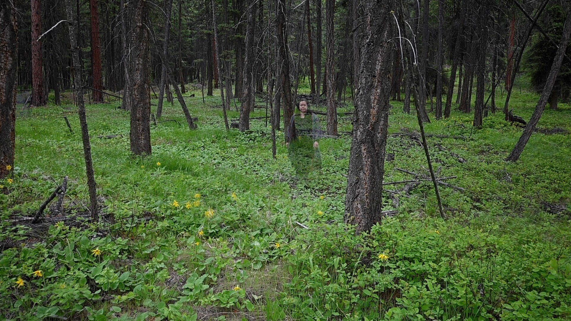 A forest scene with the ghostly image of a person walking