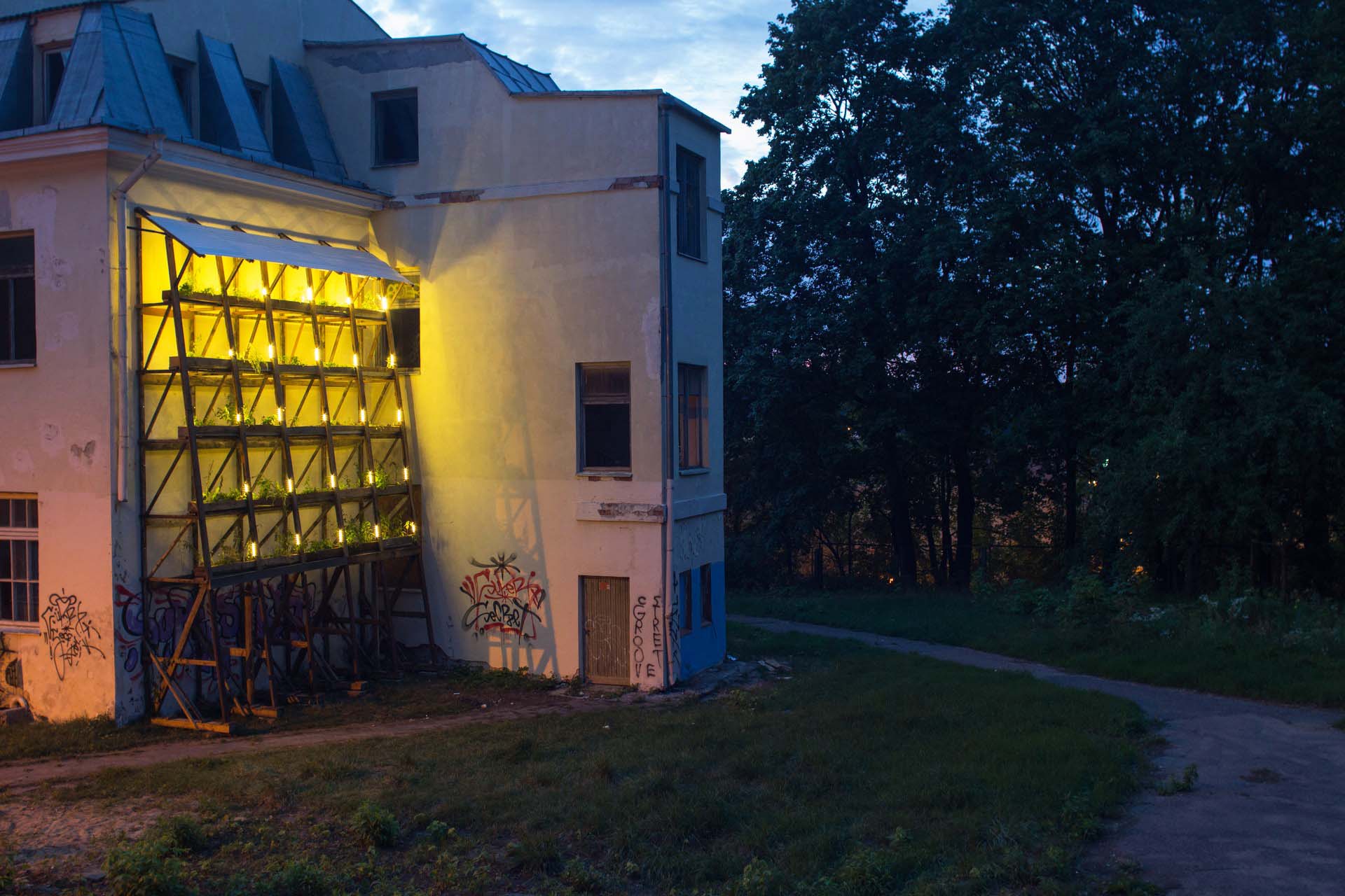 A lit-up trellis of plants against a building surrounded by grass and trees, at dusk