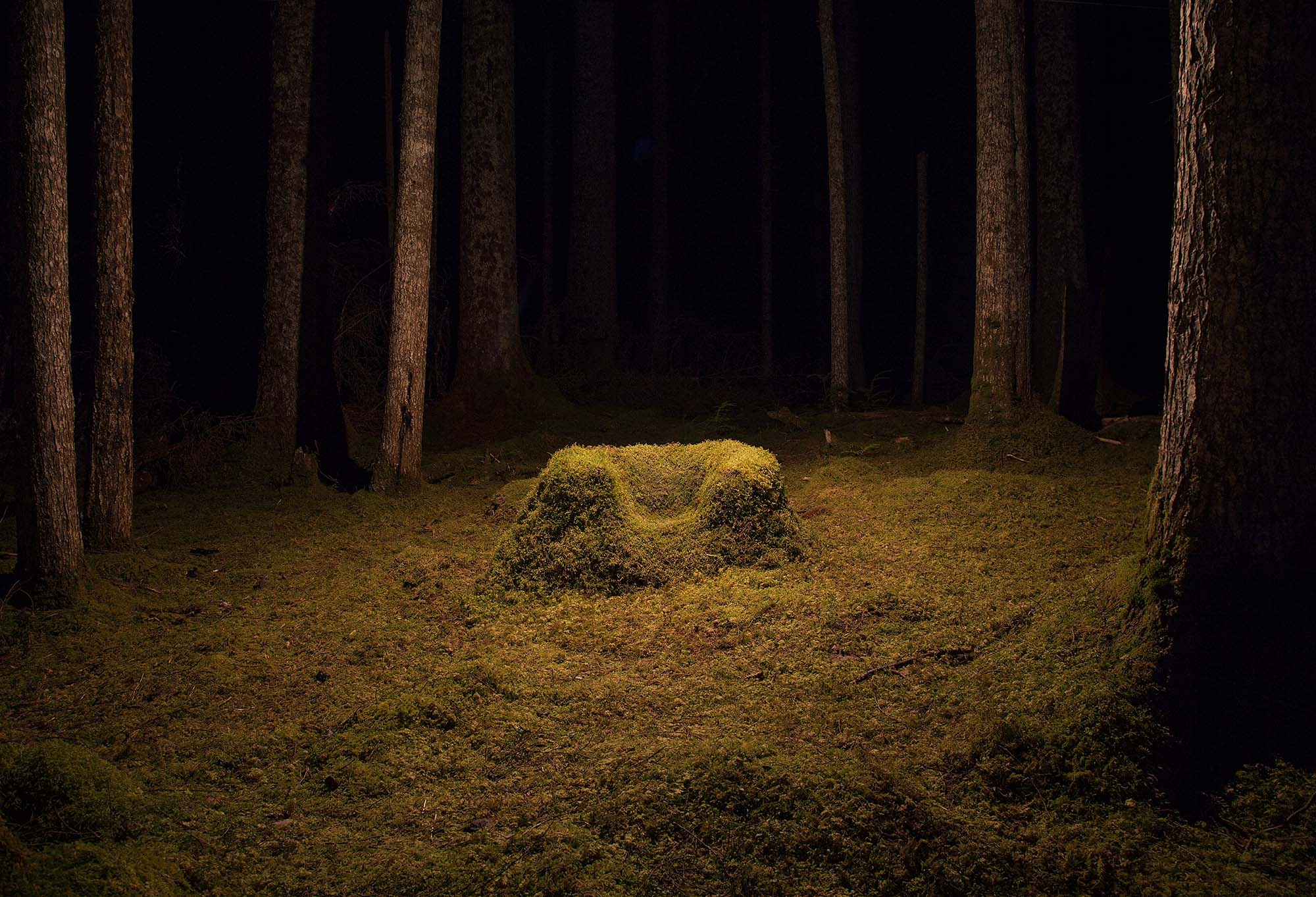 An armchair made of moss sits on mossy ground, lit up amidst a dark forest