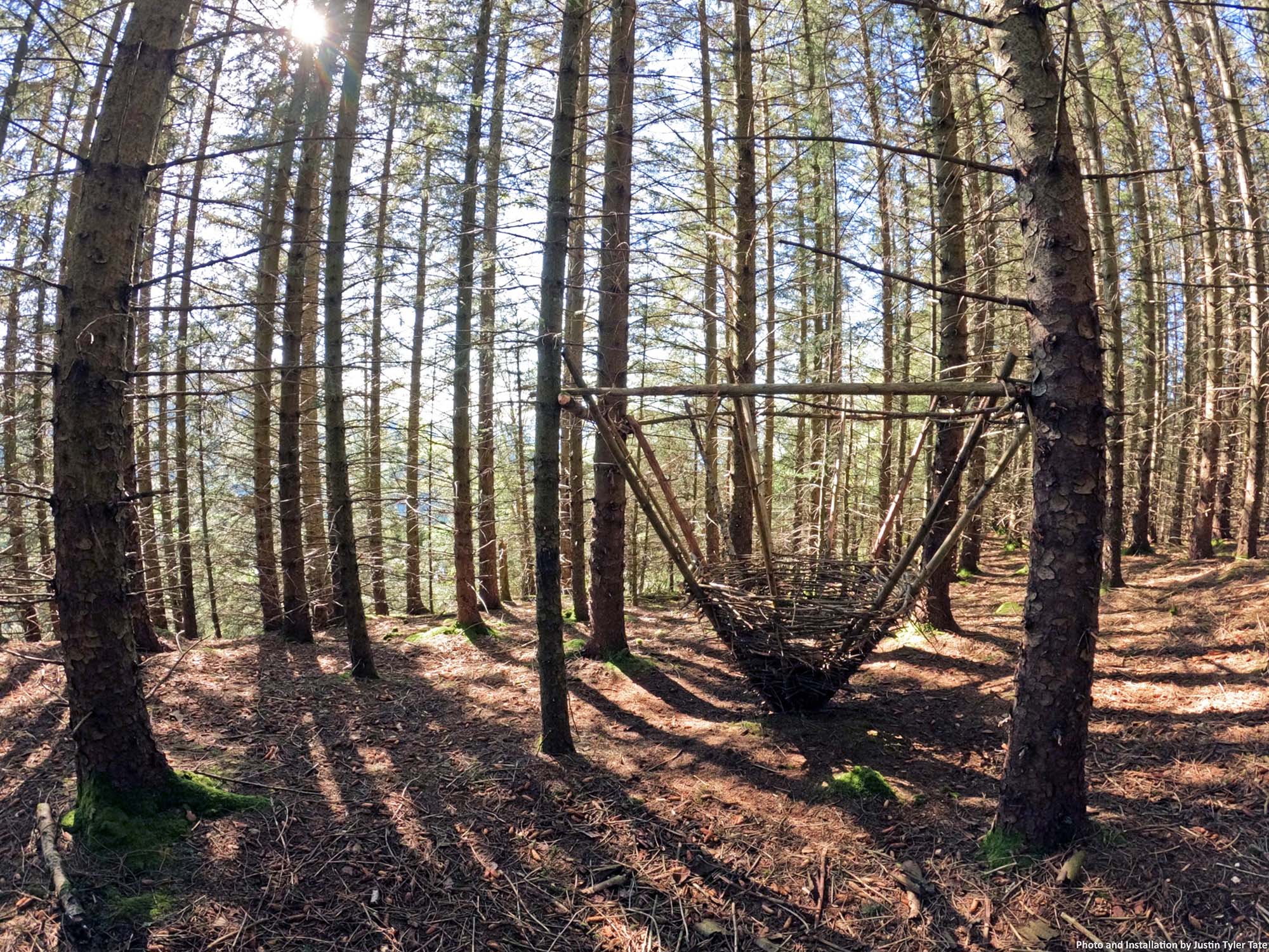 Amidst a sunny forest, a cone-shaped wooden frame rests against the ground