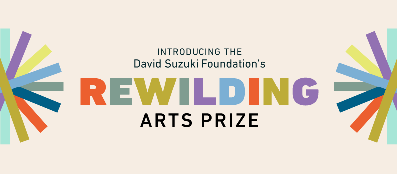 Introducing the David Suzuki Foundation's Rewilding Arts Prize