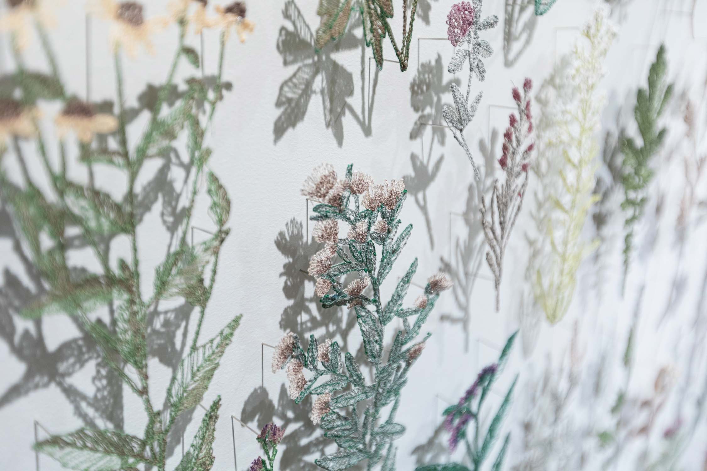 Close-up of a white wall mounted with thread sketches of plants, with shadows visible behind them