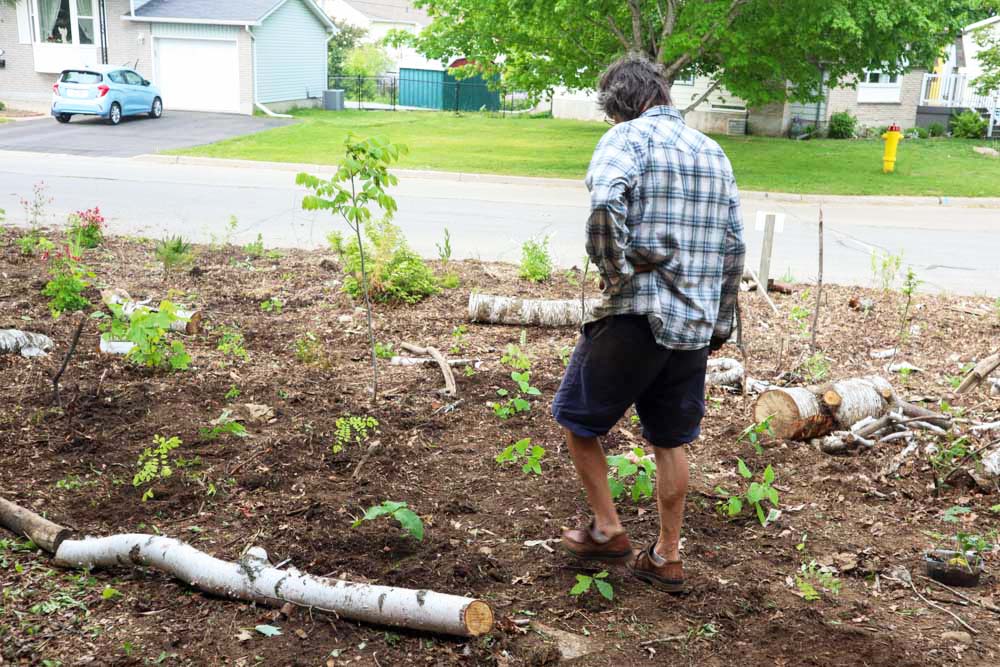 A person standing in a garden amidst newly planted seedlings