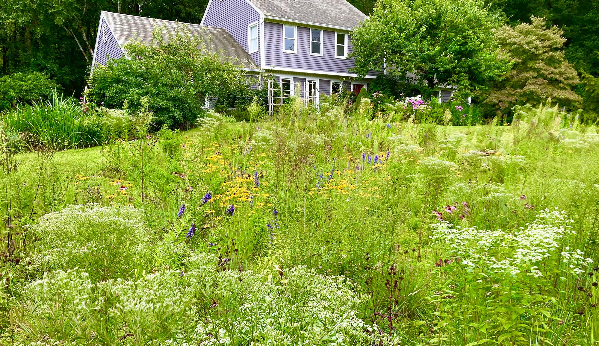 A grey house with a wildflower meadow in front